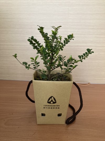 新竹林管處與蛋牌合作改良之可分解紙苗盆